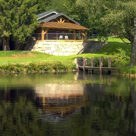 L'Ilet Aux 2 Etangs Villa Saint-Nabord ภายนอก รูปภาพ